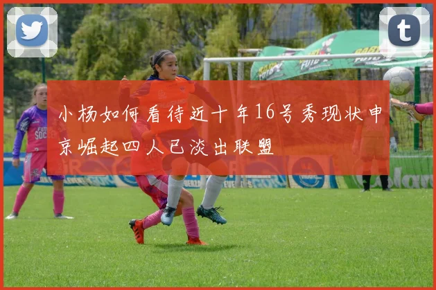 小杨如何看待近十年16号秀现状申京崛起四人已淡出联盟